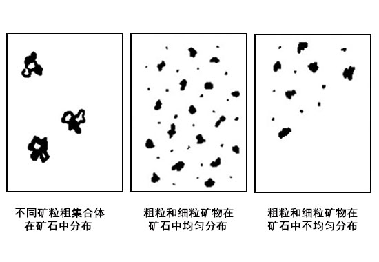 矿石嵌布粒度分布情况